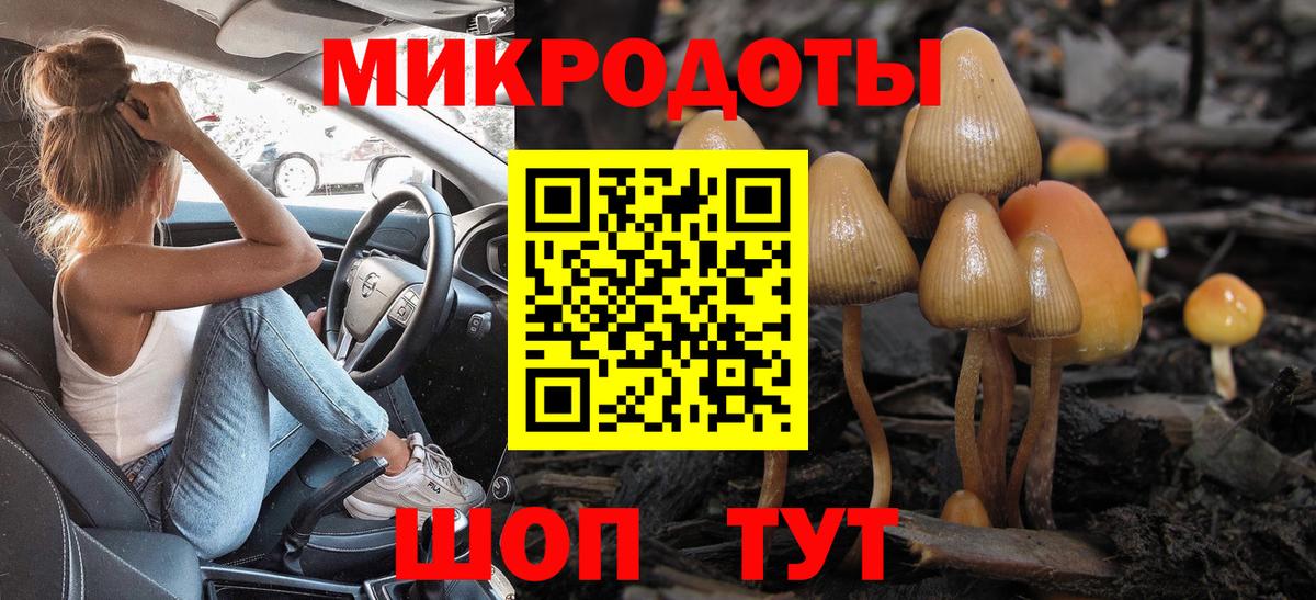 Псилоцибиновые грибы прущие грибы Кызыл
