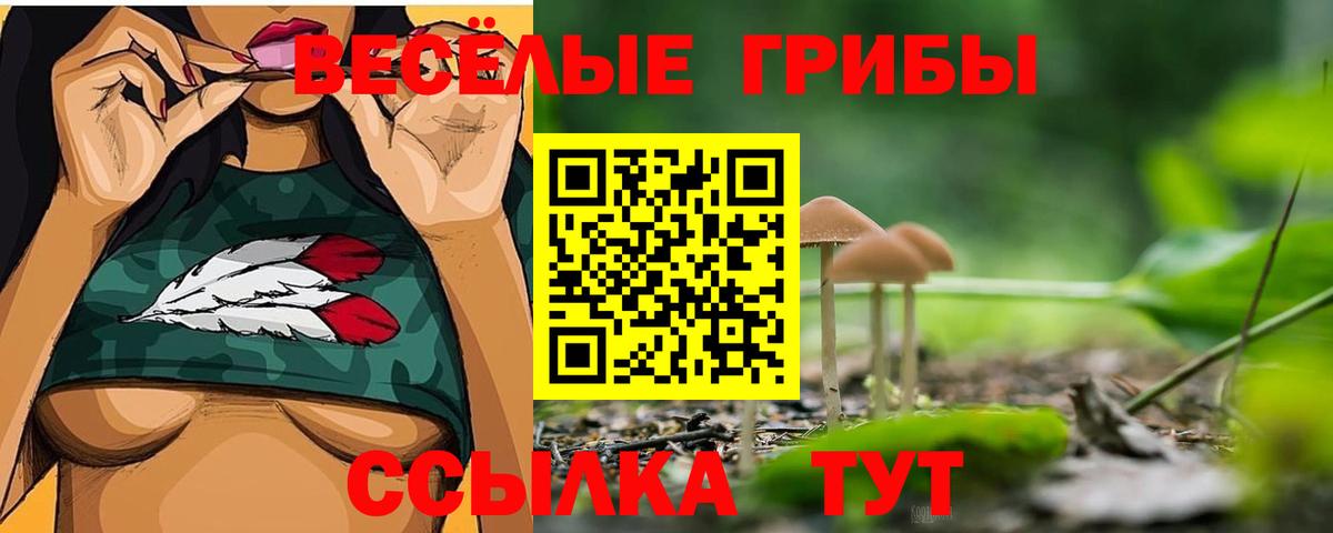 Псилоцибиновые грибы Psilocybine cubensis  Вход с VPN  Кызыл 